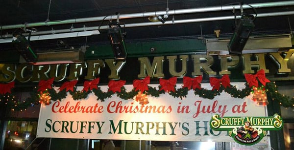 Scruffy Murphys